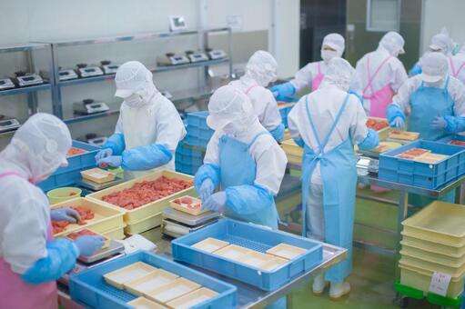 食品加工、梱包作業
